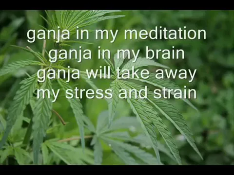 Download MP3 Bob Marley's Song/ Ganja in my brain !