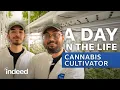 A Day in the Life Cannabis Cultivation Technician Indeed