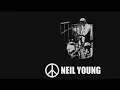 Neil young & Crazy Horse (Live) - Danger Bird (Year of the Horse)