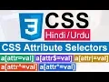 CSS Advanced Selectors Attribute Selectors Tutorial in