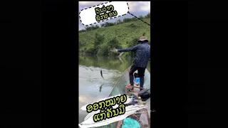 ตีเหยื้อปลอมปลาช่อนอ่างน้ำหีนวันพักผ่อน | ວັນພັກຜ່ອນຫາກິນ