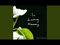 In Loving Memory