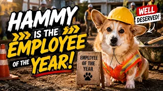 Hammy's Career Is Out of Control 🤣📈