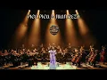 PICA PICA 2 (Ethnic Orchestra Epic Cover) – Juan Reza | Terlalu Megah untuk Diabaikan!