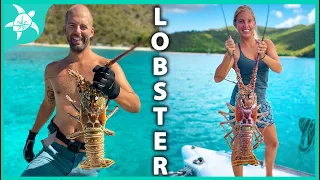 Basically fought a LOBSTER!