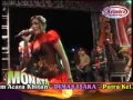 Lagu PRIA IDAMAN - LILIN HERLINA - MONATA