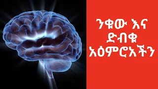 ንቁ እና ድብቁ አዕምሮአችን TRUTH About Your SUBCONSCIOUS MIND Exposed 