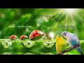 Download Lagu (The blessings of dew) Karen worship song 4 (Kwa Ka Lu)
