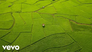 Joe Hisaishi Merry Go Round Of Life From Howl S Moving Castle 