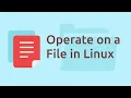 How to Operate on a File in Linux from Command Line - cat head tail grep commands