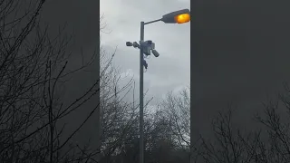 You Are Under Surveillance 