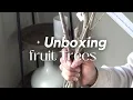 Unboxing TyTy Nursery Fruit Trees