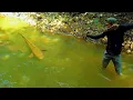 Download Lagu DIY Insane Powerful Fishing Slingshot From Electric Pliers | Fishing Slingshot Vs Huge Fish