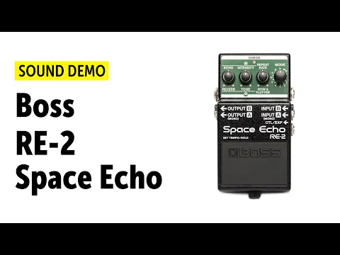 BOSS RE-2 Space Echo | Delicious Audio