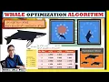 Whale Optimization Algorithm Mathematical Model Fitness Value xRay Pixy