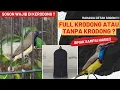 Lagu WAJIB TAU❗APAKAH SOGON PERLU DI KERODONG ATAU TIDAK❓SIMAK VIDEO INI❗
