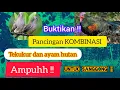 Download Lagu KOMBINASI PIKAT DAN PANCINGAN AYAM HUTAN DAN TEKUKUR‼️SUDAH TERBUKTI AMPUH❗untuk sanggong mantap.