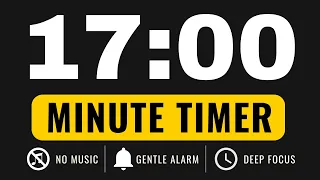 17 Minute Timer - Countdown Timer GENTLE ALARM NO MUSIC MINIMAL