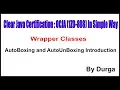 Java Wrapper Classes AutoBoxing and AutoUnBoxing Introduction by Durga sir