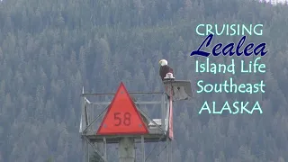 Cruising Lealea: Eagle 58 to Wrangell