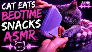 Cat Eats Bedtime Snacks - Feline ASMR