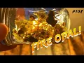 Finding Fire Opal at Royal Peacock Opal Mines in Virgin Valley NV