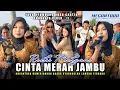 Download Lagu UDAH CANTIK SUARANYA BAGUS - RISKY MULYANI CINTA MERAH JAMBU BARENG MEGANTARA LIVE LANDAH PRATIM MP3