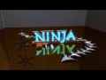 Ninja 3D Logo