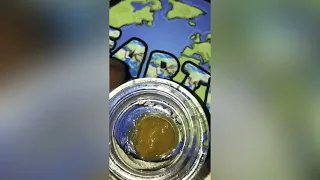 Lemon Slushie Strain Review Smk Brk 420