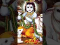 Download Lagu choto so mero madan gopal🙏🙏