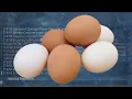 FFXIV Fellowship of the EGG