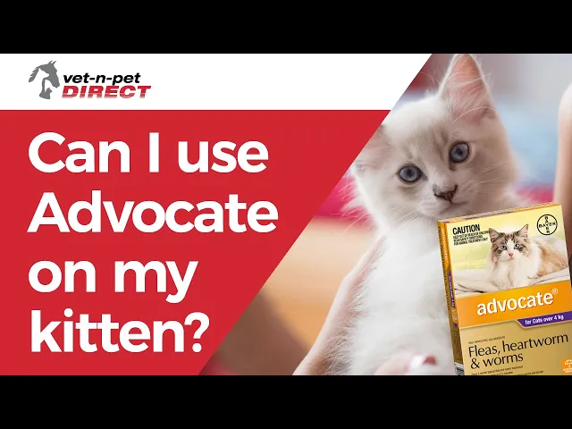 ADVOCATE for Small Cats 0-4kg