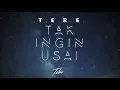 Download Lagu Tere - Tak Ingin Usai (TOBIO remix)