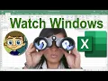 Using Watch Windows in Excel