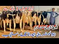 Baloch Dairy Farm | imported Cows | 50+ Milking cows #janibest 