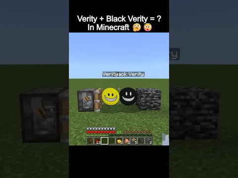 Verity + Black Verity = ? In Minecraft π€π²