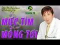 Download Lagu MỰC TÍM MỒNG TƠI - NHẠC LOSSLESS - TRƯỜNG VŨ - KHÔNG QUẢNG CÁO