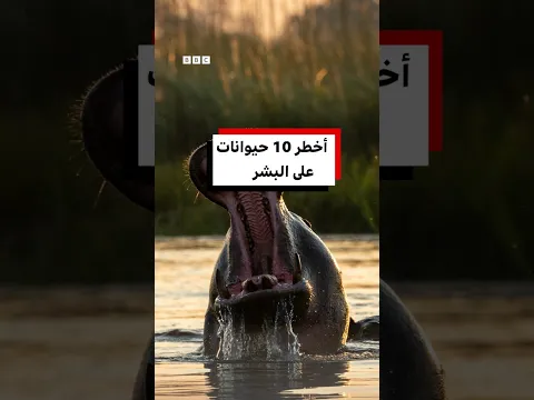أخطر 10 حيوانات على البشر