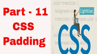 CSS Padding in Tamil CSS Tutorial in Tamil Part - 11
