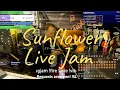 Sunflower by Post Malone but it gets all Snarky and turns into a Thing Of Gold - Trombone Live Loop