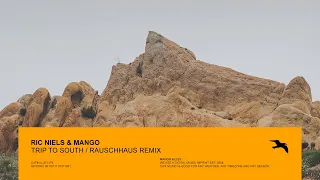 RIC NIELS \u0026 MANGO Trip To South (Rauschhaus Remix)