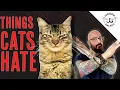 8 Things Cats HATE