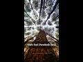 Download Lagu Andra Respati \u0026 Eno Viola - Niek Suci Panabuih Janji (Lirik)