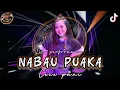 Download Lagu Nabau Puaka - Lagu Dayak Kalbar || Live Perform (Pani) Sp 2 Belitang || Risky Hard Musik