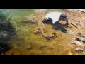 Toxic Water - Don't Come Down Here