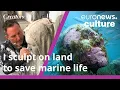 Meet Jason deCaires Taylor the artist protecting marine life with his underwater sculptures