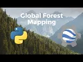 Global Forest and Non-Forest Mapping with SAR Data in Google Earth Engine and Python