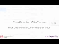 FlexGrid for WinForms One-Minute Feature Tour