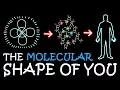 The Molecular Shape of You (Ed Sheeran Parody) | A Capella Science