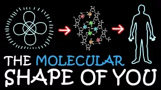 The Molecular Shape Of You Ed Sheeran Parody A Capella Science